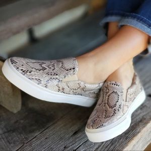 Sugar Flicker Sneakers Python Print Snake print